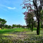 Thai Golf Booking
